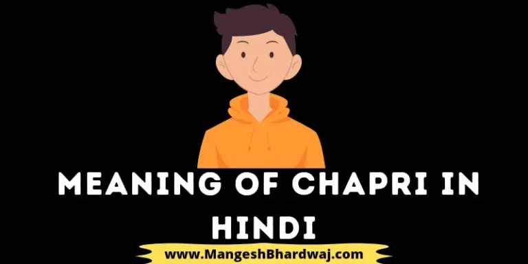 meaning of chapri